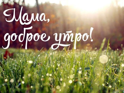 Красивые открытки и картинки с добрым утром маме, мамочке, мамуле