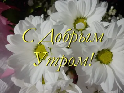 доброе утро мамочка#видео поздравление | TikTok