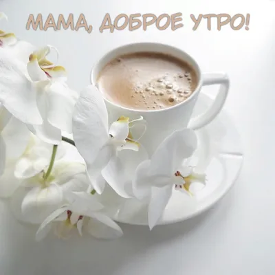 sandu_4162 - Доброе утро🤗 Я счастливая мама🤲❤🥰🥰 Я боготая мама на  свете🤲🤗❤🥰 Потому что я Люблю семью❤🥰🤗🤲🤲🤲Әльхамдулилях  #мамавдекрете#мамасчастье#ядомасижу#шымкент#якелинка#ябольшелюблюдети#алматы#астаны#көкшетау#караганда  | Facebook