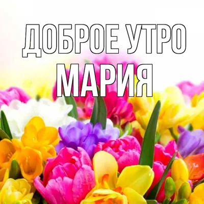 утро #сдобрымутром #новыйгод2022 #красивоепоздравление #красивоевидео... |  TikTok