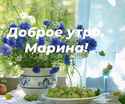 Марина доброе утро | Plants, Garden