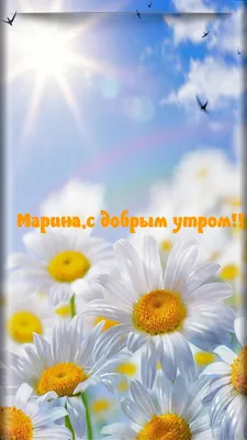 МИР Настроения - Друзья, Доброе Утро ! 🌷☕🌷☕🌷 Пусть жизнь... | Facebook