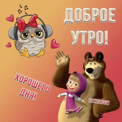 Доброе утро! #моевидео #зоопарки #медведь #смешныеживотные | TikTok