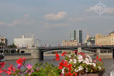 Доброе утро, Москва | Пикабу