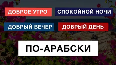 Как вежливо говорить по-арабски - Учим арабский с Джамилей