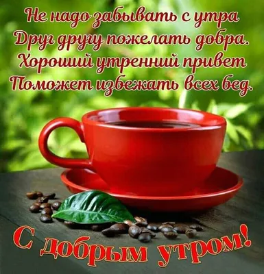 Доброе утро на даче! #дачноесчастье #дача #сад #лето2020 #любимаядача |  Сад, Доброе утро, Дача