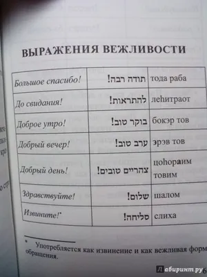 Бокер Тов Доброе Утро На Иврите Надпись Вектор Элемент Для Листовок  Баннеров И Плакатов Современная Каллиграфия — стоковая векторная графика и  другие изображения на тему Еврейский шрифт - iStock