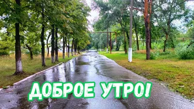 Набор кофейный \"Доброе утро\" на одну персону от производителя  Златоустовского оружейного завода LANTAN. Купить набор кофейный \"Доброе утро\"  от производителя в интернет магазине, цены и фото