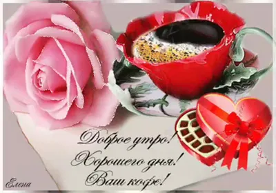 Хаерлэ иртэ дусларым туганнарым#🌹❤🌹❤🌹❤🌹❤ #Доброе утро друзья мои#... |  TikTok