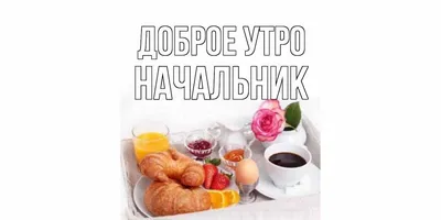 С добрым утром, с новым днем! Пускай день будет легким, веселым и  плодотворным - Лента новостей Мелитополя