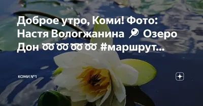 Доброе утро ☀️ Пусть утро будет прекрасным, а день счастливым 🌼🌼🌼 -  YouTube