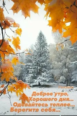 С добрым ноябрьским утром! — Скачайте на Davno.ru