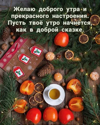 Доброе утро!!!❄️ Как проходят ваши новогодние каникулы? Все салаты уже  доели?😊 | Instagram