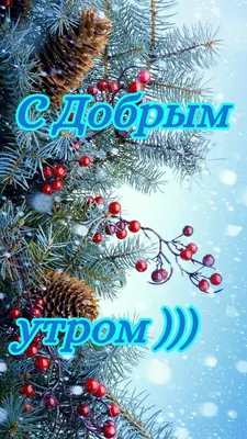 Задорные новогодние частушки для детского и семейного праздника | Доброе  утро, Русь! | Дзен