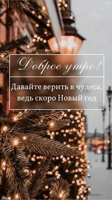 доброеутро #хорошегонастроения #улыбнись #скороновыйгод | TikTok