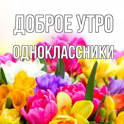 72) Одноклассники | Доброе утро, Веселые картинки, Смешные лица детей