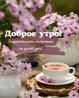 Чашка для чая \"Кружка с принтом Доброе утро Виталий!\", 330 мл, 1 шт -  купить по доступным ценам в интернет-магазине OZON (640777653)