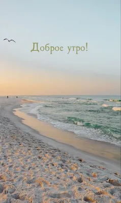 Доброе утро! Лазаревское сегодня, 25.09.2023.🌴ЛАЗАРЕВСКОЕ СЕГОДНЯ🌴СОЧИ. -  YouTube