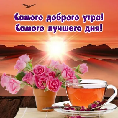 Доброе утро и хорошего дня! Красивая музыкальная открытка С Добрым утром !  - YouTube