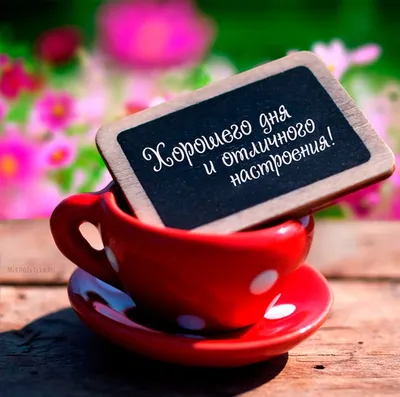 Доброе утро, хорошего дня вам я …» — создано в Шедевруме