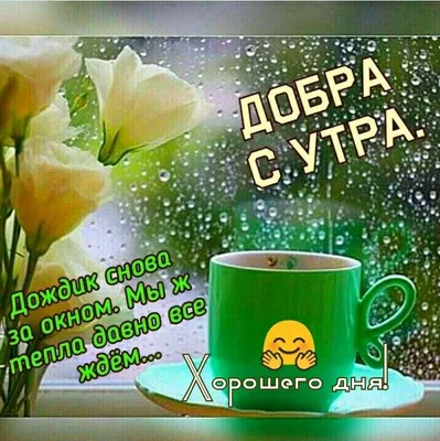 Доброе Утро Хорошего Дня🌼 | Мультяшные Поздравления | Дзен