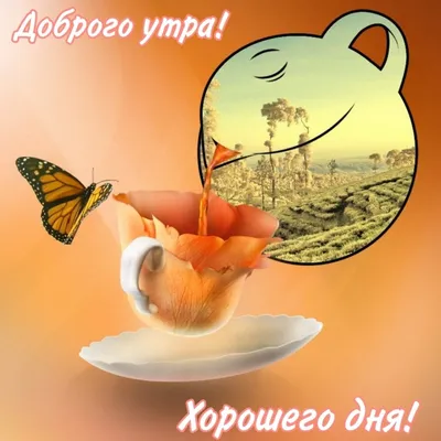 Открытки | Доброе Утро! Отличного дня! Музыкальная открытка с добрым утром,  пожелания с добрым утром, доброе утро открытка, видео открытка доброе утро  | Дзен