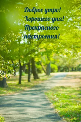 С добрым утром и хорошего дня! Прикольные открытки и картинки с пожеланиями  - Телеграф