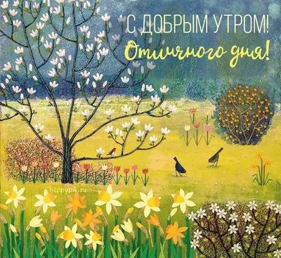 Картинки \"С добрым утром и Хорошего дня!\" (1109 шт.)