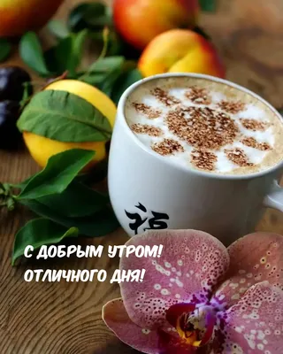 Всем доброго утра и хорошего дня. Открытка | Доброе утро, Открытки, Картинки
