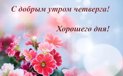 Открытки с добрым утром - красивые поздравления с началом дня — УНИАН