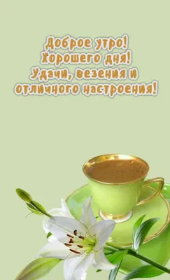 Картинки хорошего дня и отличного настроения. Пожелайте близким доброго утра  и хорошего дня. Откравьте открытку с добр… | Счастливые картинки, Доброе  утро, Открытки