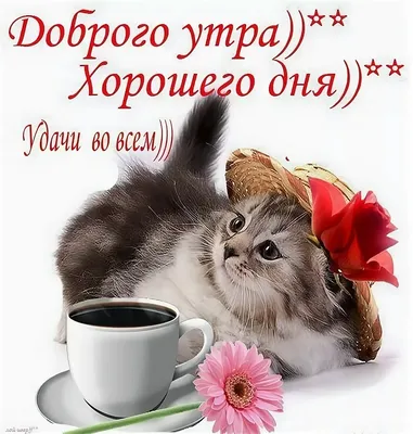 Открытки - Доброе утро! Хорошего дня и удачи! | Facebook