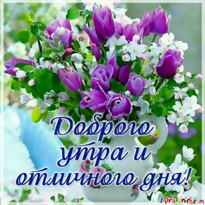 Доброе утро и хорошего дня!