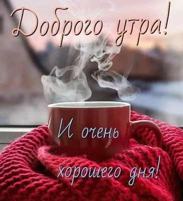 ДОБРОЕ УТРО, ОТЛИЧНОГО ДНЯ🦋🦋🦋 | Instagram