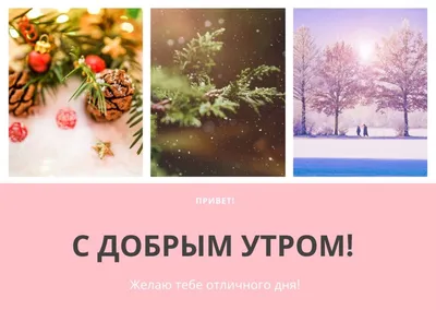 Доброго утра!🥰🥰🥰 Хорошего дня и отличного настроения!🌞☕🍩 #доброеу... |  TikTok