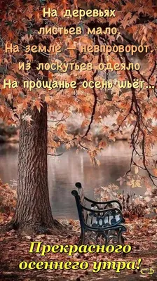 Пин от пользователя Светлана на доске Доброе утро | Живописные пейзажи,  Осенние виды, Доброе утро