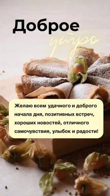 Пенсионеры и WhatsApp | Пикабу