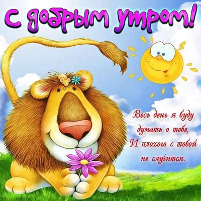 Доброе утро! Пятница, прикольные, смешные картинки для поднятия настроения  | Фотографии - snaply.ru