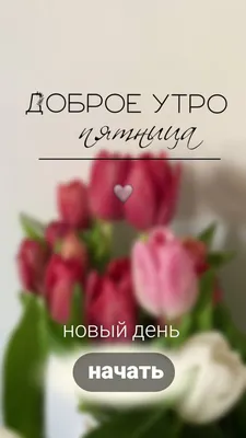 Душевная открытка «Доброе утро пятницы!», с пожеланием • Аудио от Путина,  голосовые, музыкальные