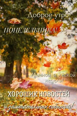 Утро/🍂Осень🍂/Понедельник | Доброе утро, Дневные цитаты, Утренние цитаты