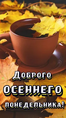 Осень 🍂 Понедельник | Цитаты про утро понедельника, Осень, Утренние цитаты