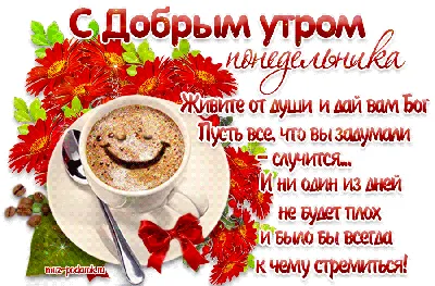 Конкурс Воронеж - Доброе утро 😃 #хорошегодня... | Facebook