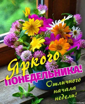 Пин от пользователя Наташенька на доске Зимнего Доброго Утра | Доброе утро,  Новогодние пожелания, Утренние цитаты