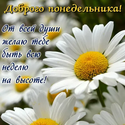 Доброе утро, дорогие друзья! У Аминочки всё хорошо. Начались будни. |  Аминочка Зайнуллина, группа помощи. | ВКонтакте