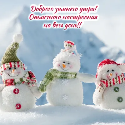 🎅 С ДОБРЫМ УТРОМ, ДРУЗЬЯ! 🎅 Сегодня утро декабря, Я доброе утро тебе  пожелаю. Стучится.. | ВКонтакте