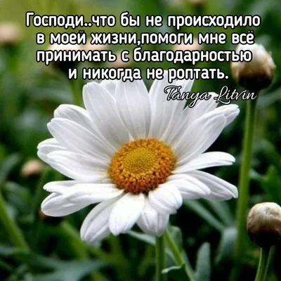 Pin by Мамуткин Вениамин on Доброго дня | Biblical verses, Table  decorations, Good morning