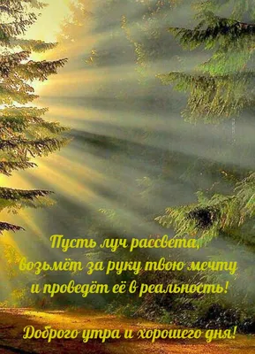 Пожелания хорошего дня в картинках, своими словами, в стихах, в смс и  христианские пожелания доброго дня — Украина