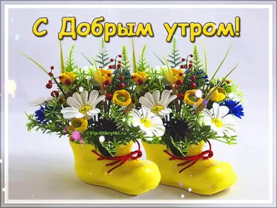 пятница #сдобрымутром 🤗Доброго утра и прекрасного дня вам друзья🌞 #... |  TikTok