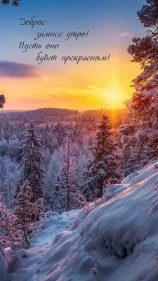 Доброе утро зима природа - фото и картинки: 62 штук