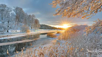 Привет НВ - Доброе утро, Нижневартовск! ☕️ Отличного дня и великолепного  настроения ......... Автор фото - Роман Олейник ______ #доброеутро #солнце # природа #зима #нижневартовск #нв #privet_nv | Facebook